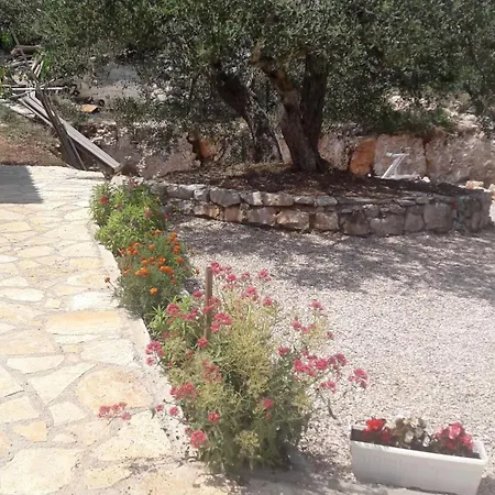 House Marie's Lavander Dream Holiday home *